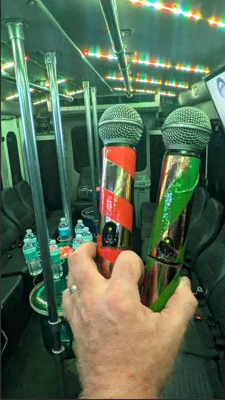 karaoke-kruzin-mics